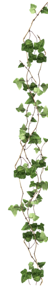 bg leaf